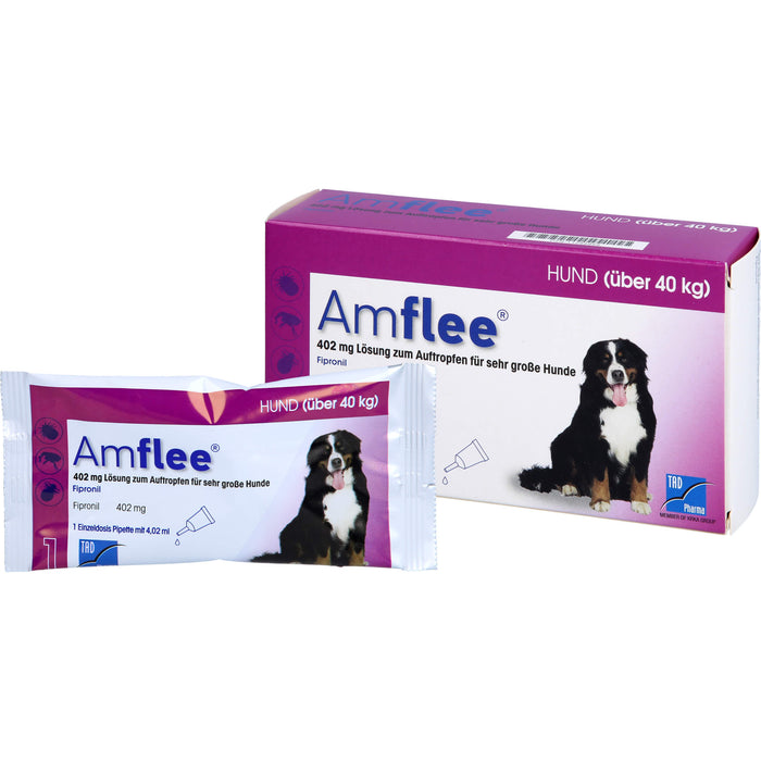 Amflee 402 mg Lösung zum Auftropfen für Hunde über 40 kg, 3 pcs. Ampoules