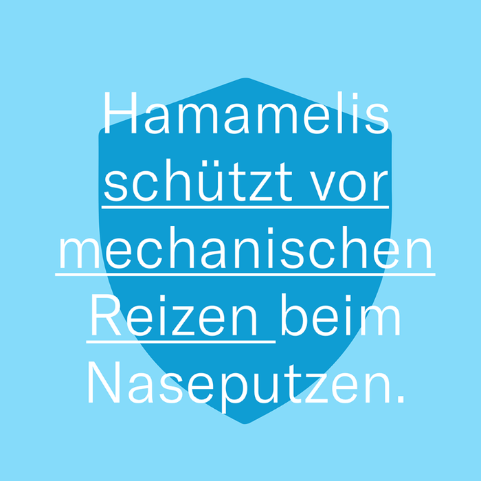 LETI balm Fluido - Feuchtigkeitsspendender Nasen- und Lippenbalsam bei sehr trockener oder strapazierter Haut, 10 ml Lösung