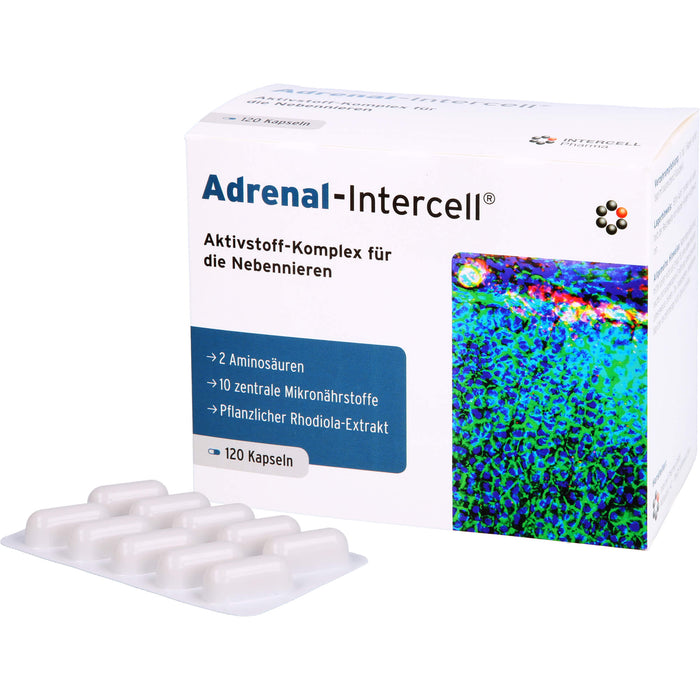 Adrenal-Intercell Aktiv-Komplex für die Nebennieren Kapseln, 120 pc Capsules