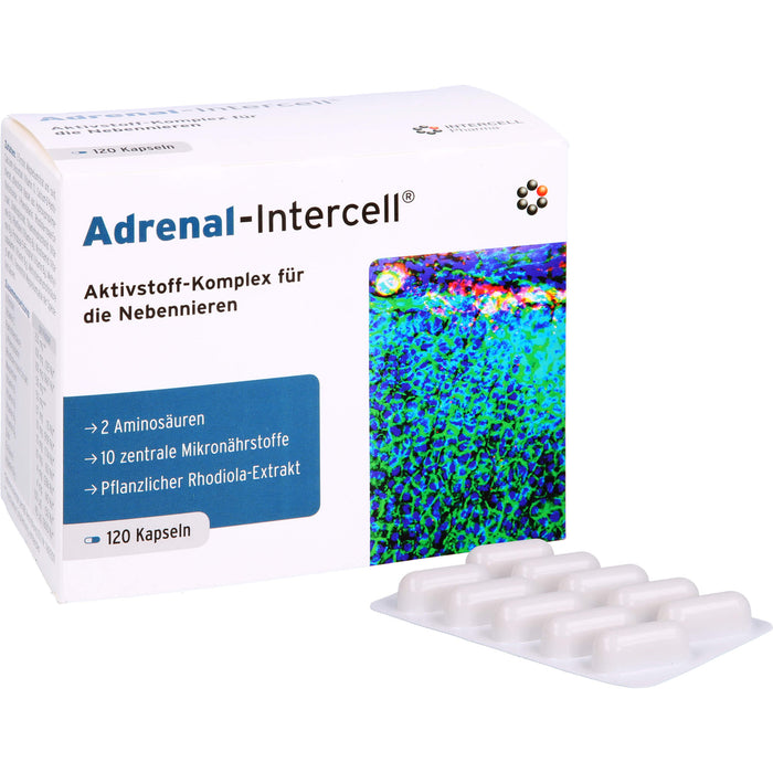 Adrenal-Intercell Aktiv-Komplex für die Nebennieren Kapseln, 120 pc Capsules