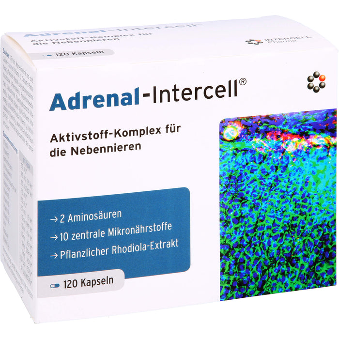 Adrenal-Intercell Aktiv-Komplex für die Nebennieren Kapseln, 120 St. Kapseln