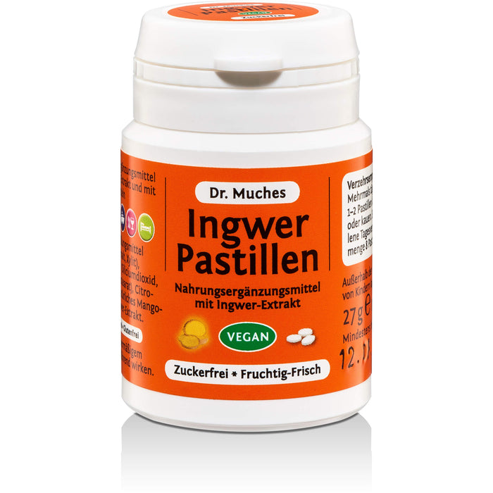 Ingwerpastillen Dr. Muches zuckerfrei, 27 g PAS