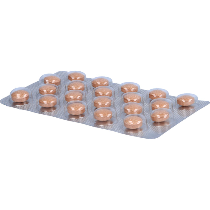 SanFerin Tabletten, 80 pc Tablettes