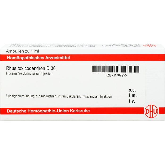 DHU Rhus toxicodendron D 30 Flüssige Verdünnung, 8 pcs. Ampoules