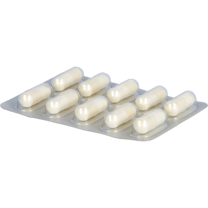 LACTIBIAN ATB-Protekt 12M, 10 pcs. Capsules