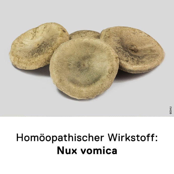 DHU Nux vomica D6 Streukügelchen – hilft im Verdauungstrakt – nebenwirkungsarm, 10 g Globules