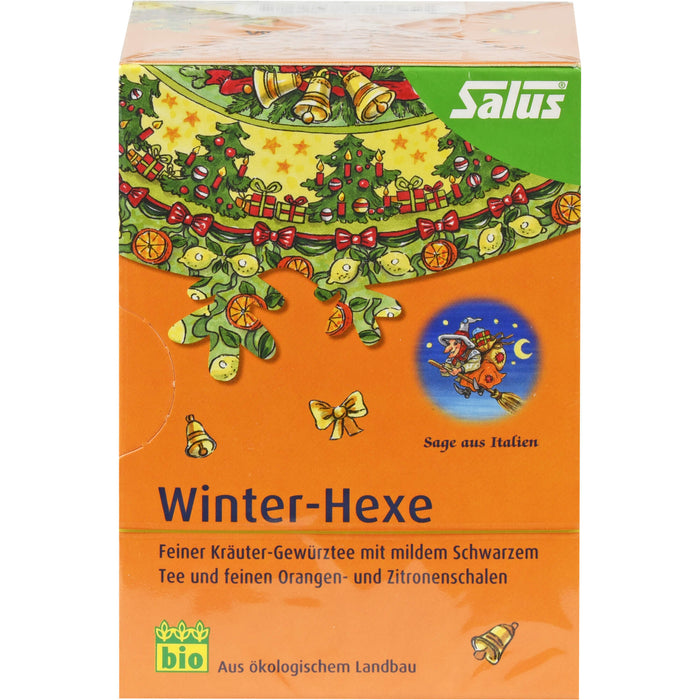 Winter-Hexe Kräuter-Gewürztee bio Salus, 15 St FBE