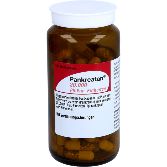 Pankreatan 20.000 Ph.Eur.-Einheiten Hartkapseln, 100 pcs. Capsules