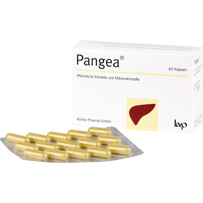 Pangea, 60 St KAP