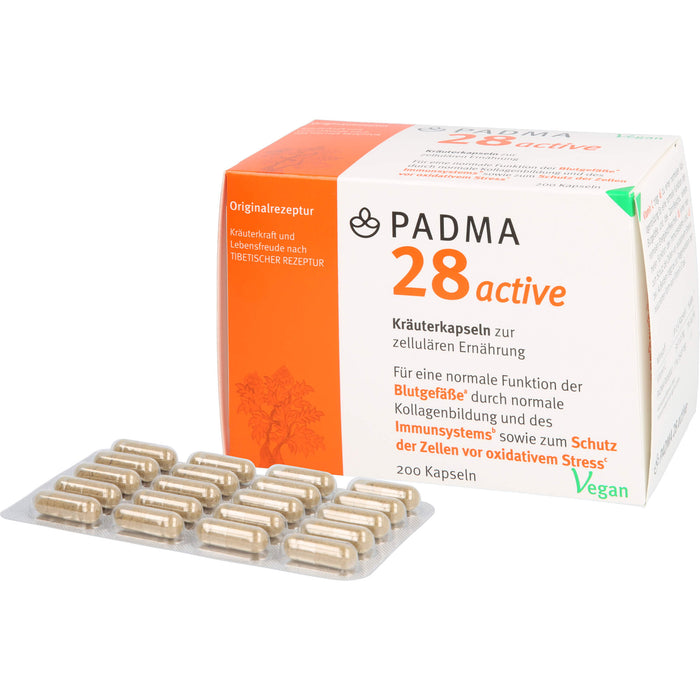 PADMA 28 ACTIVE, 200 St KAP