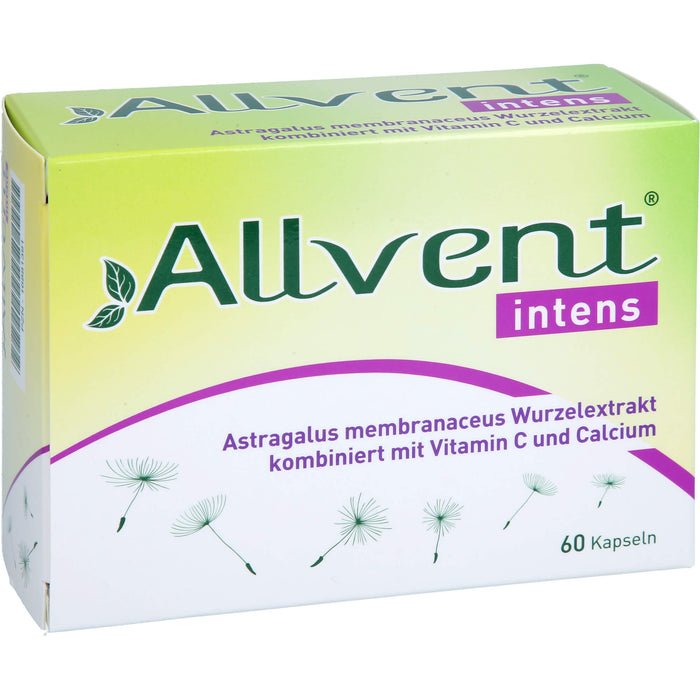 Allvent intens, 60 St KAP