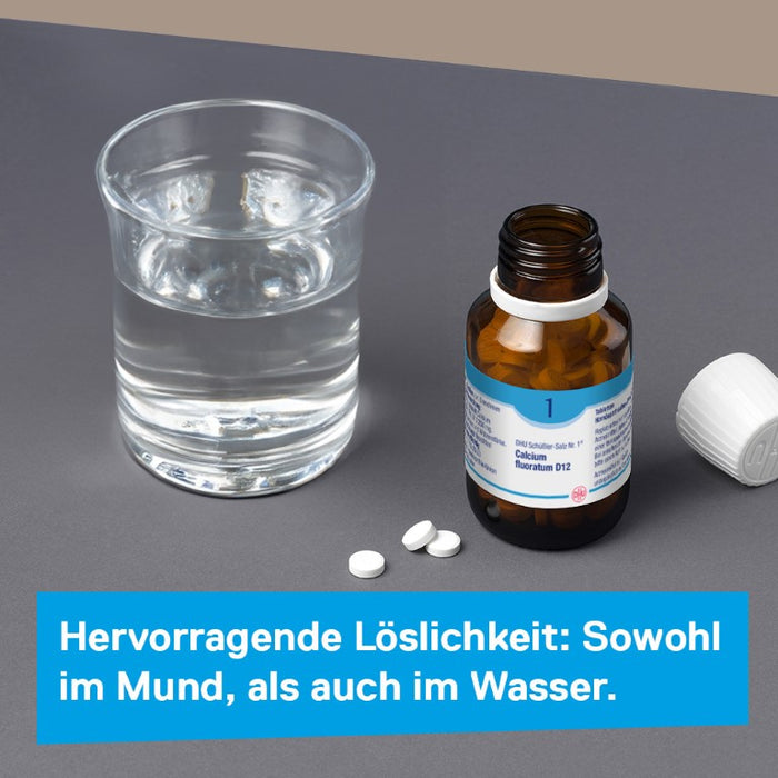 DHU Schüßler-Salz Nr. 1 Calcium fluoratum D12 – Das Mineralsalz des Bindegewebes, der Gelenke und Haut – das Original – umweltfreundlich im Arzneiglas, 200 pcs. Tablets