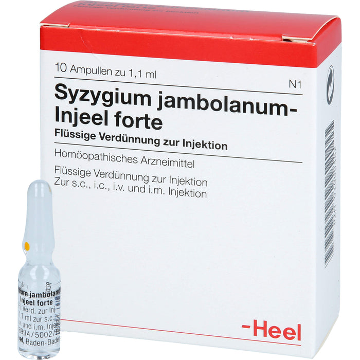 Syzygium jambolanum Injeel forte Amp., 10 St AMP