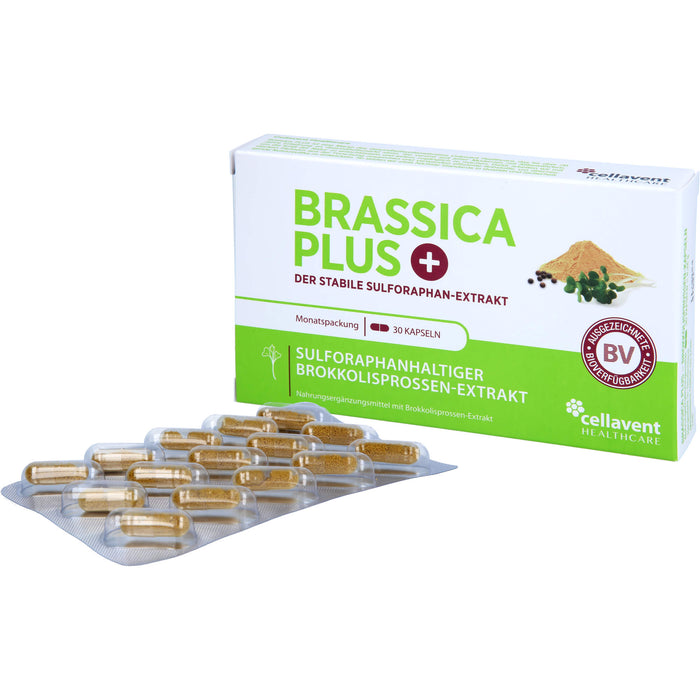 Brassica PLUS, 30 St KAP