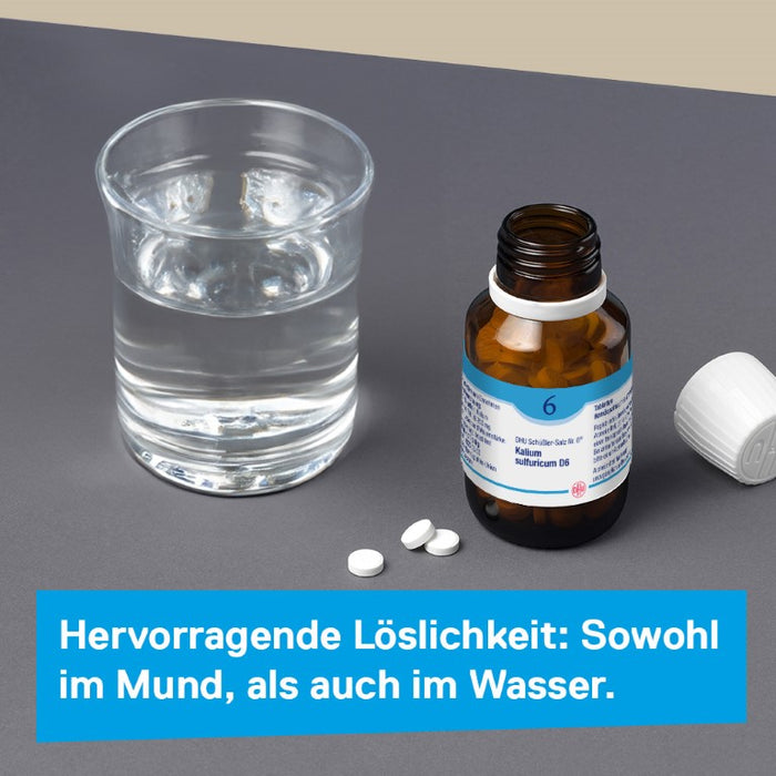 DHU Schüßler-Salz Nr. 6 Kalium sulfuricum D12 – Das Mineralsalz der Entschlackung – das Original – umweltfreundlich im Arzneiglas, 200 St. Tabletten