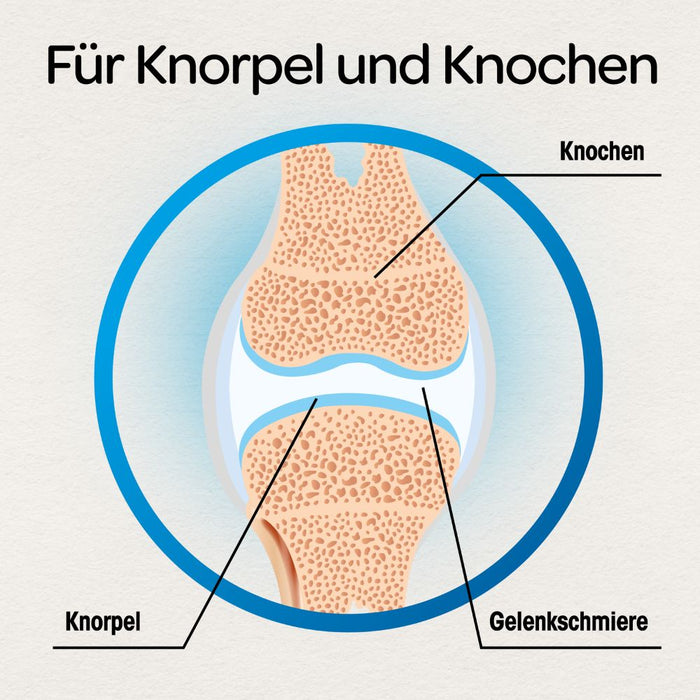 Dr Böhm Gelenke & Knorpel Tabletten, 120 pc Tablettes