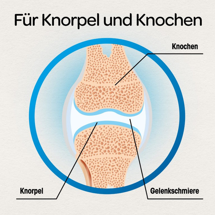 Dr Böhm Gelenke & Knorpel Tabletten, 120 pcs. Tablets