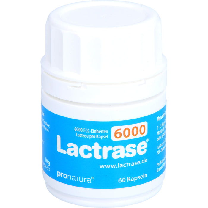 Lactrase 6000 FCC, 60 St KAP