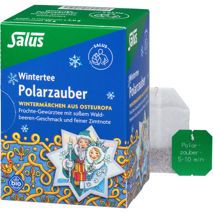 Polarzauber Früchte-Gewürztee bio Salus, 15 St FBE