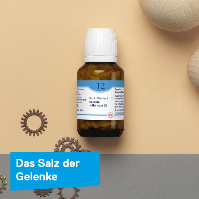 DHU Schüßler-Salz Nr. 12 Calcium sulfuricum D6 – Das Mineralsalz der Gelenke – das Original – umweltfreundlich im Arzneiglas, 900 pc Tablettes