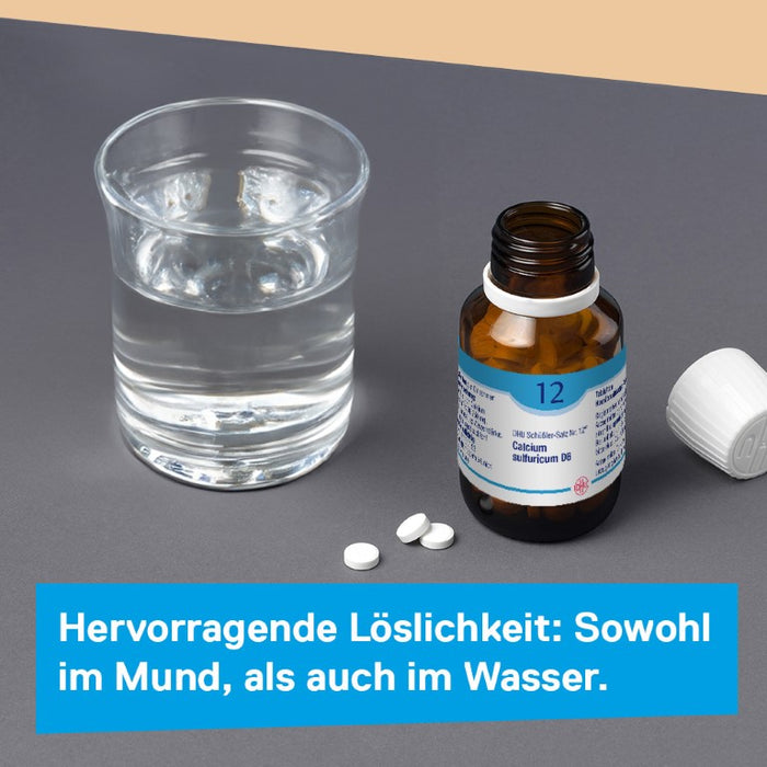 DHU Schüßler-Salz Nr. 12 Calcium sulfuricum D12 – Das Mineralsalz der Gelenke – das Original – umweltfreundlich im Arzneiglas, 900 St. Tabletten