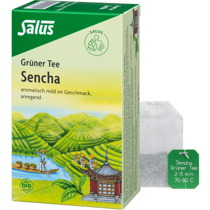 Salus Grüner Tee Sencha, 15 pcs. Filter bag