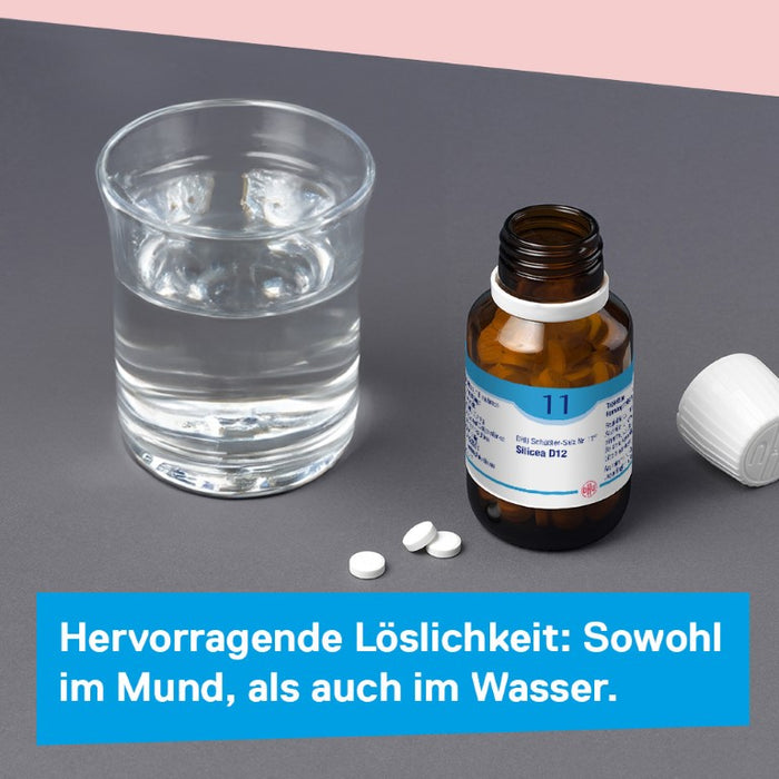 DHU Schüßler-Salz Nr. 11 Silicea D12 – Das Mineralsalz der Haare, der Haut und des Bindegewebes – das Original – umweltfreundlich im Arzneiglas, 420 pc Tablettes