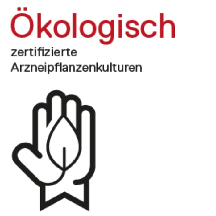 DHU Viruvetsan N flüssige Verdünnung zur Injektion für Pferde, Rinder, Schweine, Schafe, Ziegen, Katzen und Hunde, 20 pc Ampoules