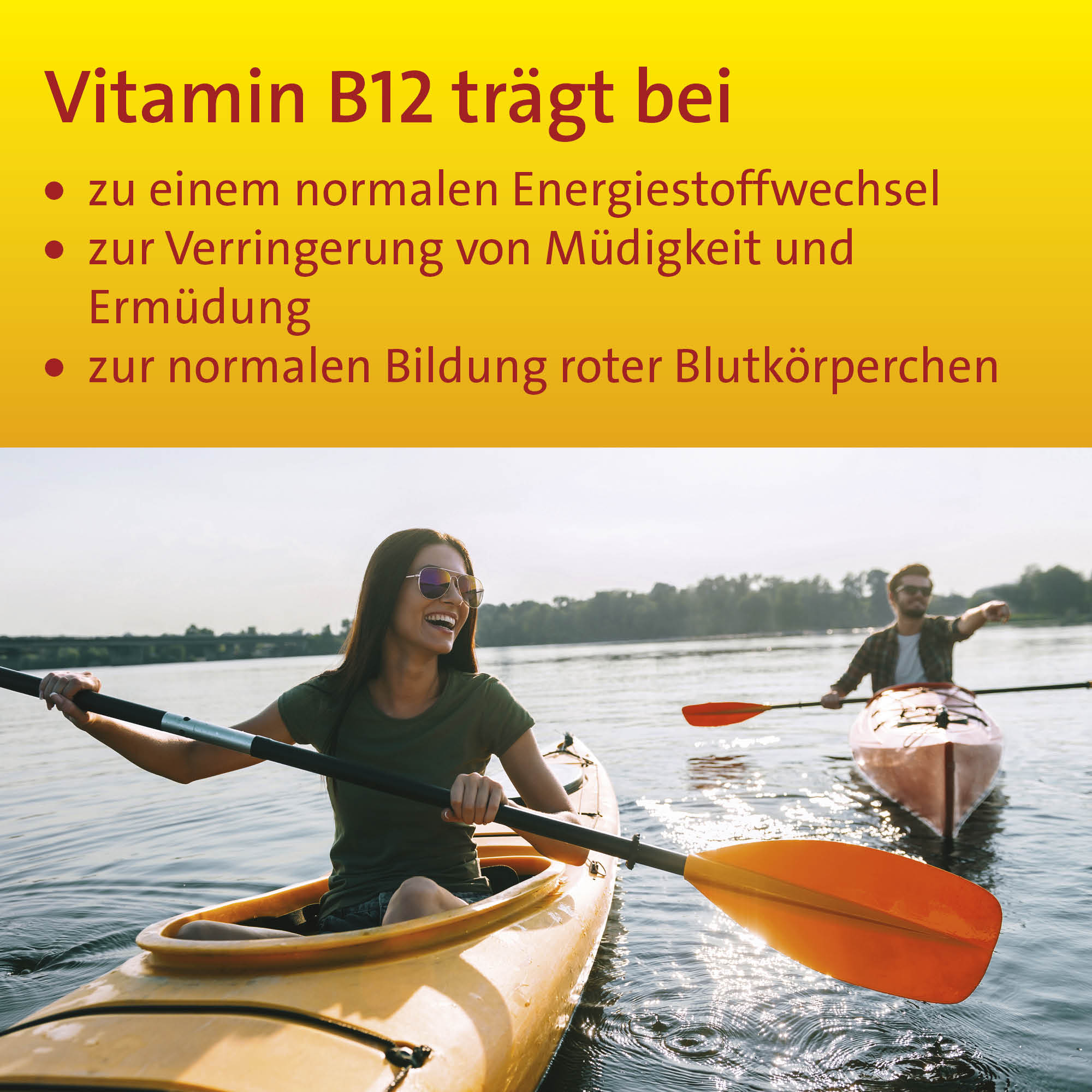 Vitamin B12 Hevert 450 µg, 50 St. Tabletten Hevert-Testen