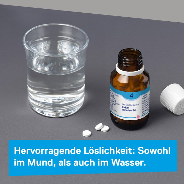 DHU Schüßler-Salz Nr. 4 Kalium chloratum D6 – Das Mineralsalz der Schleimhäute – das Original – umweltfreundlich im Arzneiglas, 80 pc Tablettes