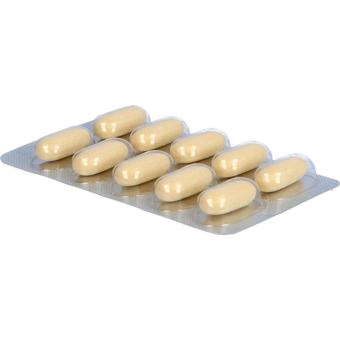 Natu-hepa 600 mg Tabletten bei Verdauungsbeschwerden, 50 pc Tablettes