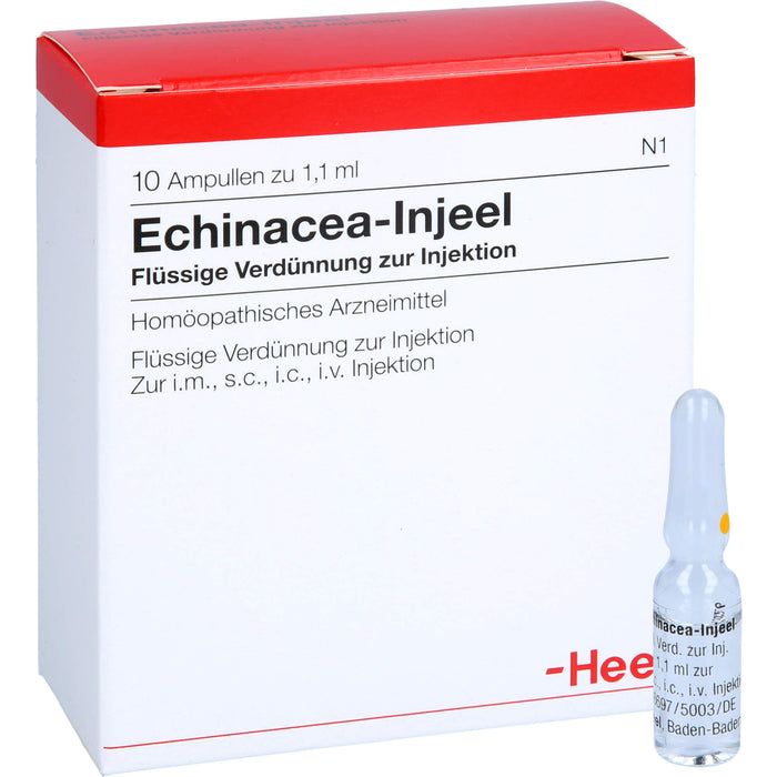 Echinacea-Injeel flüssige Verdünnung, 10 St. Ampullen