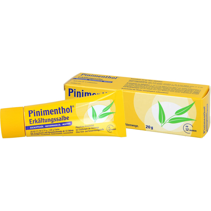 Pinimenthol Erkältungssalbe, 20 g Cream