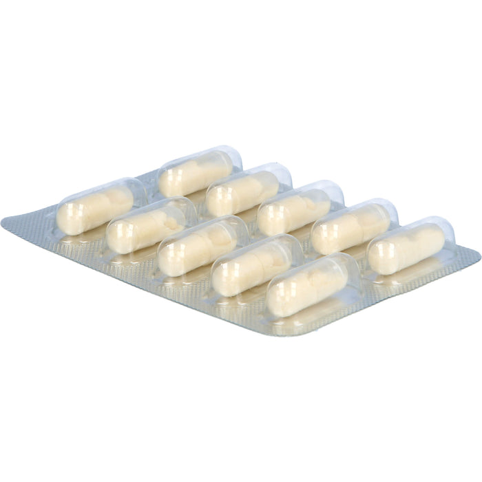 Bergland Gelée Royale Kapseln, 40 pcs. Capsules