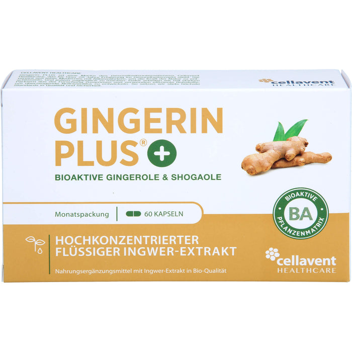 Gingerin PLUS, 60 St KAP