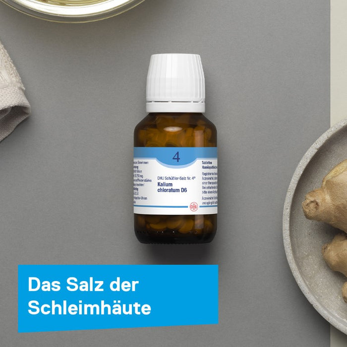 DHU Schüßler-Salz Nr. 4 Kalium chloratum D12 – Das Mineralsalz der Schleimhäute – das Original – umweltfreundlich im Arzneiglas, 200 St. Tabletten