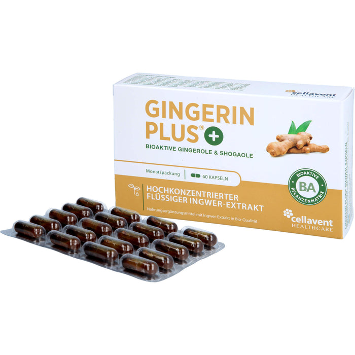 Gingerin PLUS, 60 St KAP